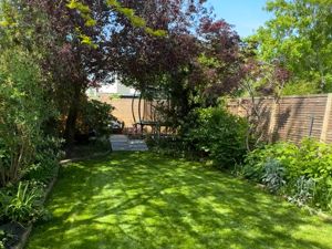 Summer Garden- click for photo gallery
